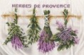 /album/kuchyna/provensalske-bylinky-jpg/